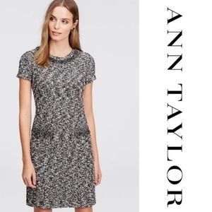 Ann Taylor Fringed Tweed Dress  Large